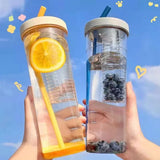 Fruit Infuser Bottle