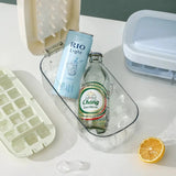 Press Ice Mold With Lid And Spoon