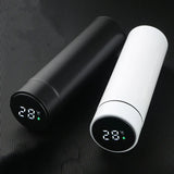 Water Bottle With Temperature Display