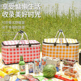 Insulated Picnic Bag
