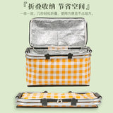 Insulated Picnic Bag