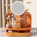 Desktop Led Double Door Cosmetic Organizer