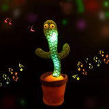 Dancing cactus