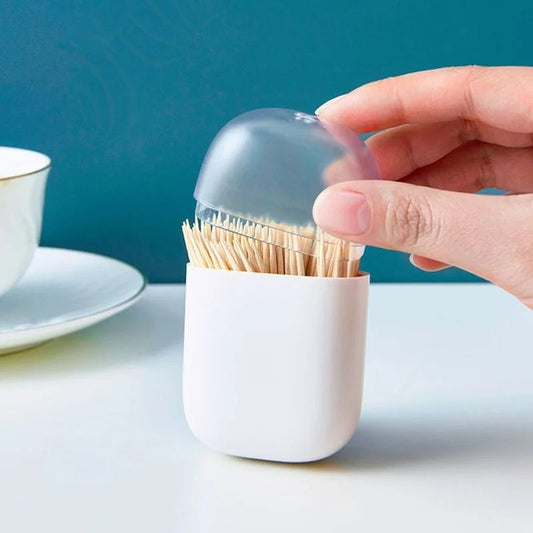 Creative Magnetic Toothpick Holder