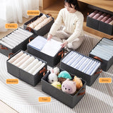 Steel Frame Clothing Organizer